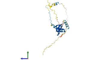 AlphaFold protein structure predicition of Mouse Recombinant Btf3 Protein, UniprotID Q64152 (BTF3 Protein (AA 1-204) (His tag))
