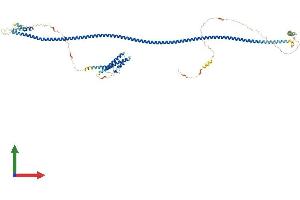 AlphaFold protein structure predicition of Mouse Recombinant Ccdc157 Protein, UniprotID Q5SPX1 (CCDC157 Protein (AA 1-718) (His tag))