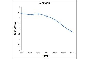 Antigen: 2 µg/100 µL  Primary: Antiserum, 1:500, 1:1000, 1:2000, 1:4000, 1:8000, 1:16000, 1:32000;  Secondary: HRP conjugated Rabbit Anti-Goat IgG at 1: 5000;  TMB staining Read the data in Microplate Reader by 450nm. (ULK1 antibody  (pSer556))