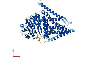 AlphaFold protein structure predicition of Human Recombinant HAS3 Protein, UniprotID O00219