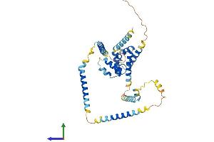 Protein Structure (PS) image for HAUS Augmin-Like Complex, Subunit 7 (HAUS7) (AA 1-364) protein (His tag) (ABIN7558728)