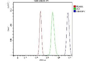 Flow Cytometry analysis of HepG2 cells using anti-hnRNP K/HNRNPK antibody (ABIN7601650). (HNRNPK antibody  (AA 40-463))