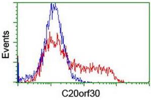 HEK293T cells transfected with either RC201878 overexpress plasmid (Red) or empty vector control plasmid (Blue) were immunostained by anti-C20orf30 antibody (ABIN2455892), and then analyzed by flow cytometry. (C20orf30 antibody)