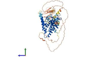 Protein Structure (PS) image for Nuclear Receptor Subfamily 2, Group C, Member 1 (NR2C1) (AA 1-590) protein (His tag) (ABIN7563789)