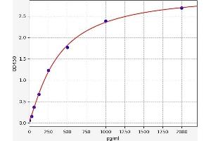 Typical standard curve (NGFB ELISA Kit)