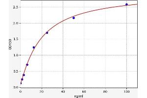 RBP1 ELISA Kit