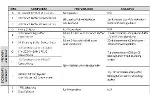 This picture shows the reagent preparation. (ERK1/2 ELISA Kit)