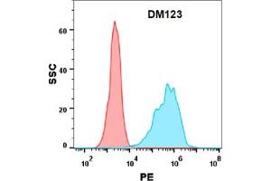Flow cytometry analysis with Anti-PD-L1 (DM123) on Expi293 cells transfected with human PD-L1 (Blue histogram) or Expi293 transfected with irrelevant protein (Red histogram). (PD-L1 antibody  (AA 19-328))