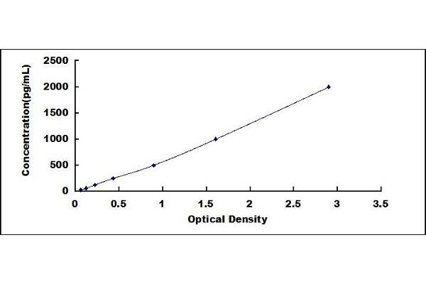 DEFA5 ELISA Kit