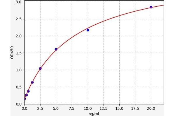 Protocadherin 1 ELISA Kit