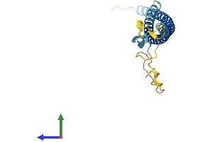 AlphaFold protein structure predicition of Human Recombinant SNAP23 Protein, UniprotID O00161