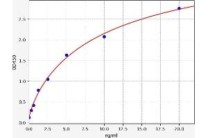 CASP14 ELISA Kit