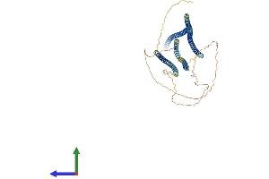 Protein Structure (PS) image for Coiled-Coil Domain Containing 99 (CCDC99) (AA 1-605) protein (His tag) (ABIN7555533)