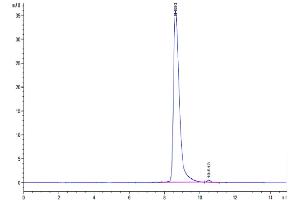 The purity of Cynomolgus SLAMF7 is greater than 95 % as determined by SEC-HPLC.