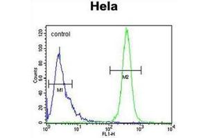 Flow cytometric analysis of Hela cells using K2C78 Antibody (Center) Cat.