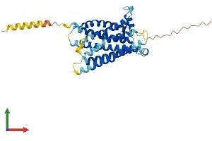 Protein Structure (PS) image for MAS1 Oncogene (MAS1) (AA 1-324) protein (His tag) (ABIN7563091)