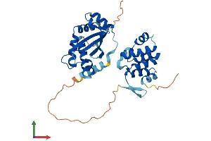 AlphaFold protein structure predicition of Mouse Recombinant Tradd Protein, UniprotID Q3U0V2