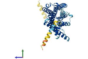 AlphaFold protein structure predicition of Human Recombinant OR2AK2 Protein, UniprotID Q8NG84 (OR2AK2 Protein (AA 1-335) (His tag))