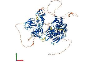 AlphaFold protein structure predicition of Mouse Recombinant Farp2 Protein, UniprotID Q91VS8 (FARP2 Protein (AA 1-1065) (His tag))