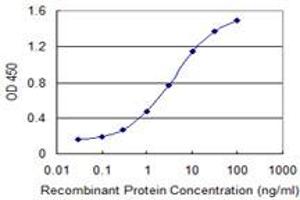 Detection limit for recombinant GST tagged NPC2 is 0. (NPC2 antibody  (AA 52-151))