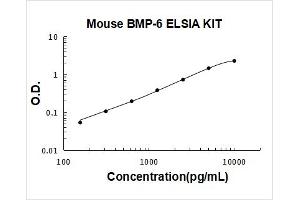 Bone Morphogenetic Protein 6 (BMP6) ELISA Kit