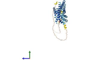 Protein Structure (PS) image for G Protein-Coupled Receptor 132 (GPR132) (AA 1-382) protein (His tag) (ABIN7556412)