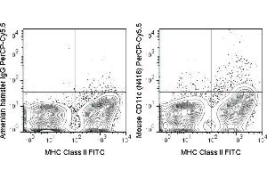 C57Bl/6 splenocytes were stained with Anti-Mouse MHC Class II FITC (ABIN6961666) and 0. (CD11c antibody  (PerCP-Cy5.5))