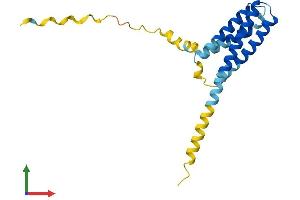 AlphaFold protein structure predicition of Human Recombinant CMTM3 Protein, UniprotID Q96MX0