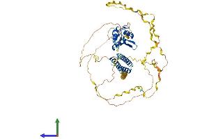 Protein Structure (PS) image for Cleavage and Polyadenylation Specific Factor 6, 68kDa (CPSF6) (AA 1-551) protein (His tag) (ABIN7557959)