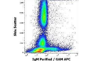 Flow cytometry surface staining pattern of human peripheral whole blood stained using anti-human IgM (CH2) purified antibody (concentration in sample 4 μg/mL, GAM APC). (Mouse anti-Human IgM Antibody)
