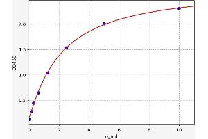 RYR1 ELISA Kit