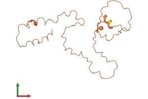 AlphaFold protein structure predicition of Human Recombinant KRTAP9-7 Protein, UniprotID A8MTY7 (KRTAP9-7 Protein (AA 1-169) (His tag))