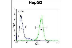 Flow cytometric analysis of HepG2 cells (right histogram) compared to a negative control cell (left histogram). (SERPINH1 antibody  (C-Term))