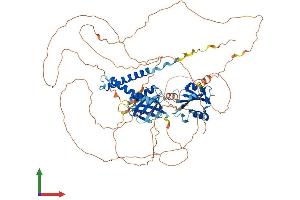 AlphaFold protein structure predicition of Mouse Recombinant Sh2b1 Protein, UniprotID Q91ZM2 (SH2B1 Protein (AA 1-756) (His tag))