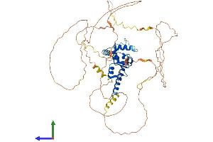 AlphaFold protein structure predicition of Human Recombinant AGFG1 Protein, UniprotID P52594