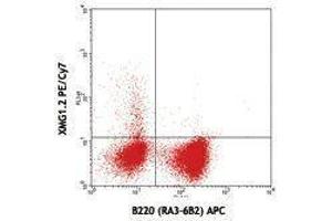 Flow Cytometry (FACS) image for anti-Interferon gamma (IFNG) antibody (PE-Cy7) (ABIN2659584) (Interferon gamma antibody  (PE-Cy7))