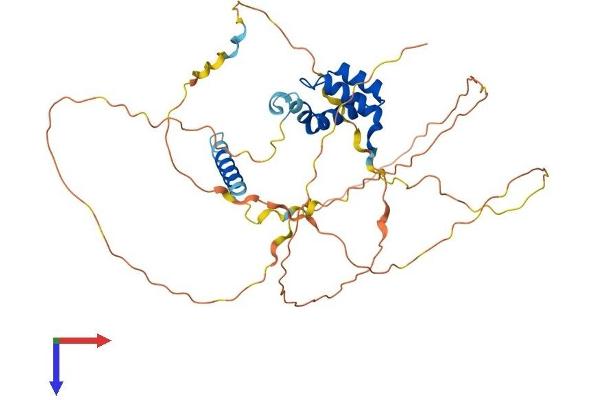 TGIF1 Protein (AA 1-401) (His tag)