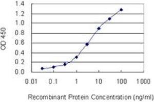 Detection limit for recombinant GST tagged APOB48R is 0. (APOBR antibody  (AA 71-170))