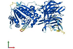 Protein Structure (PS) image for Leucine Carboxyl Methyltransferase 2 (LCMT2) (AA 1-686) protein (His tag) (ABIN7555892)