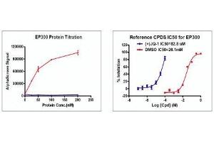 Recombinant p300 (1041-1161) activity using AlphaScreen. (p300 Protein (AA 1041-1161) (His tag,DYKDDDDK Tag))