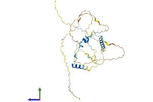 Protein Structure (PS) image for Tumor Suppressing Subtransferable Candidate 4 (TSSC4) (AA 1-329) protein (His tag) (ABIN7544784)