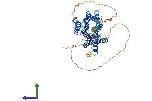 AlphaFold protein structure predicition of Mouse Recombinant Chrm1 Protein, UniprotID P12657 (CHRM1 Protein (AA 1-460) (His tag))