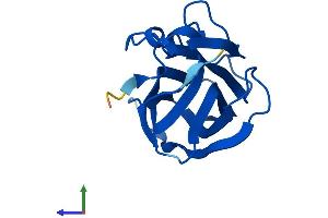 AlphaFold protein structure predicition of Mouse Recombinant Ift25 Protein, UniprotID Q9D6H2