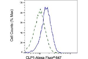Validation of CLP1 knockdown using flow cytometry. (Recombinant CLP1 antibody)