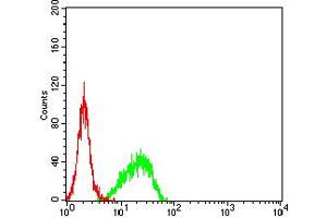 Flow cytometric analysis of NIH/3T3 cells using SMARCA1 mouse mAb (green) and negative control (red).