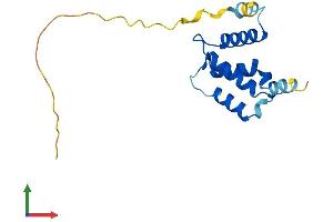 Protein Structure (PS) image for Sentan, Cilia Apical Structure Protein (Sntn) (AA 1-147) protein (His tag) (ABIN7559211)