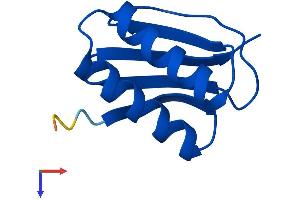 DYNLL1 Protein (AA 1-89) (His tag)