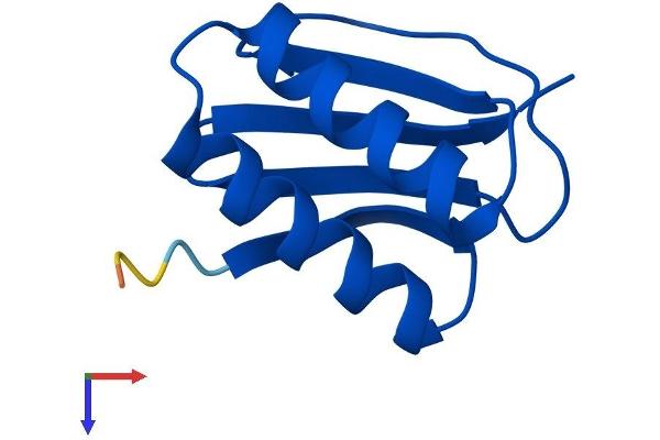DYNLL1 Protein (AA 1-89) (His tag)