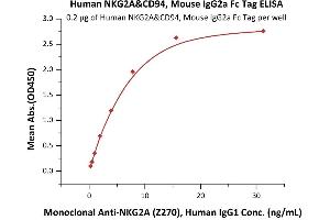 Immobilized Human NKG2A&CD94, Mouse IgG2a Fc Tag (ABIN6950955,ABIN6952272) at 2 μg/mL (100 μL/well) can bind Monoclonal A (Z270), Human IgG1 with a linear range of 0. (NKG2A & CD94 (AA 113-233) protein (Fc Tag))