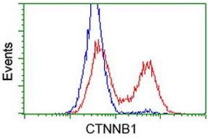 HEK293T cells transfected with either RC208947 overexpress plasmid (Red) or empty vector control plasmid (Blue) were immunostained by anti-CTNNB1 antibody (ABIN2454135), and then analyzed by flow cytometry. (CTNNB1 antibody)